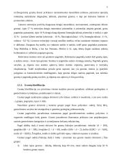 Geotechnika 4 puslapis
