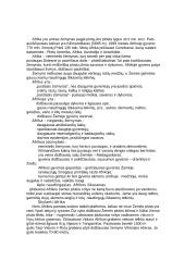 Viskas apie Afrikos žemyną 2 puslapis