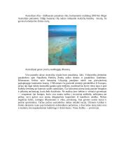 Australija - mažiausias ir gana nuošalus žemynas 3 puslapis