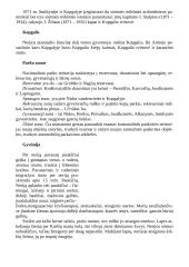 Kuršių nerijos nacionalinio parko ypatybės 4 puslapis