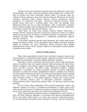 Miesto ekonominė struktūra 2 puslapis