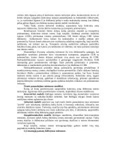 Miesto ekonominė struktūra 3 puslapis