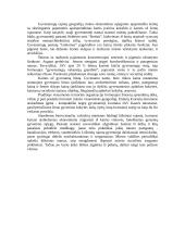 Miesto ekonominė struktūra 4 puslapis