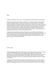 Švedija ir jos sostinė Stokholmas 5 puslapis