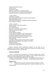 Įmonės veiklos apskaita. Klausimai medžiagai įsisavinti 11 puslapis