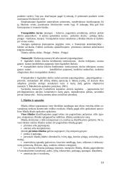 Įmonės veiklos apskaita. Klausimai medžiagai įsisavinti 18 puslapis