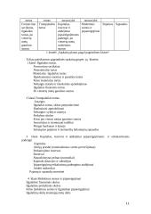 Įmonės veiklos apskaita. Klausimai medžiagai įsisavinti 10 puslapis