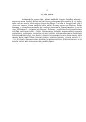 Mažosios Lietuvos muziejus   8 puslapis