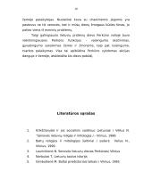 Perkūnas literatūroje 10 puslapis
