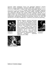 Rusai Lietuvoje 2 puslapis