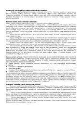 Kanonų teisės teorija 2 puslapis