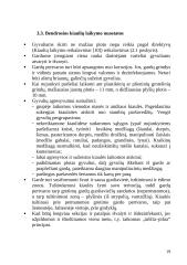 Kiaulių fermų technologinis projektavimas 19 puslapis