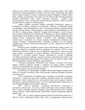 Gabrielė Petkevičaitė-Bitė 2 puslapis