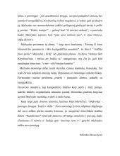 Justino Marcinkevičiaus damos “Mažvydas” ištraukos analizė ir interpretacija 2 puslapis