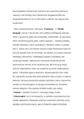 Poetas H. Radauskas 3 puslapis