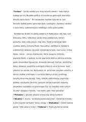 Poetas H. Radauskas 4 puslapis