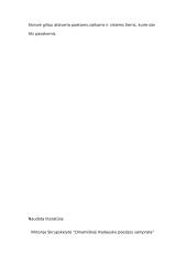 Poetas H. Radauskas 6 puslapis