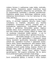 Deivė Žemyna literatūroje 4 puslapis