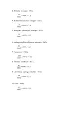 Namų ūkio išlaidų skaičiavimas 3 puslapis