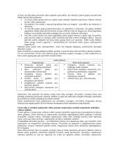 Korporacijos valdymas 3 puslapis
