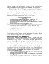 Korporacijos valdymas 4 puslapis