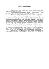 Cezario pjūvis karvėms 3 puslapis