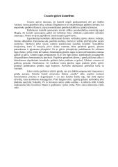 Cezario pjūvis karvėms 4 puslapis