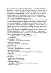 Grybelinės ligos 2 puslapis