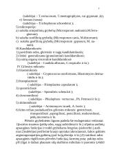 Grybelinės ligos 3 puslapis