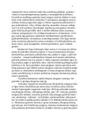 Grybelinės ligos 4 puslapis