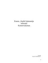 Konservatizmas Lietuvoje 8 puslapis