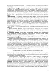  Konfliktų samprata ir skirtumai 6 puslapis