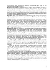  Konfliktų samprata ir skirtumai 7 puslapis