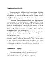 Motyvacijos samprata 2 puslapis