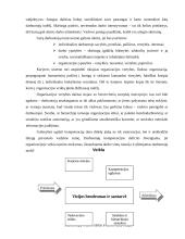 Motyvacijos samprata 12 puslapis