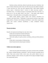 Motyvacijos samprata 3 puslapis