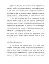 Motyvacijos samprata 4 puslapis