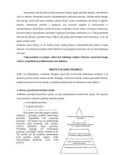 Motyvacijos samprata 8 puslapis
