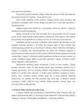 Motyvacijos samprata 9 puslapis