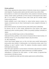 Bankrotas įmonėse 13 puslapis
