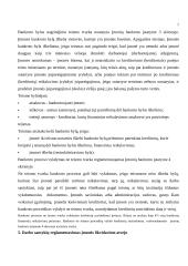Bankrotas įmonėse 7 puslapis