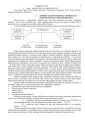 Romėnų teisės šaltinių sąvoka, jų rūšys  2 puslapis