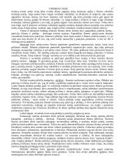 Romėnų teisės šaltinių sąvoka, jų rūšys  17 puslapis