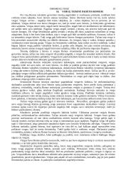 Romėnų teisės šaltinių sąvoka, jų rūšys  19 puslapis