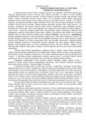 Romėnų teisės šaltinių sąvoka, jų rūšys  7 puslapis