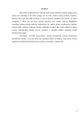 Statybų teisės pagrindai 3 puslapis