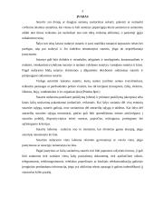 Sutarčių vykdymas ir ruošimas 3 puslapis