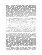 Jaunųjų lengvaatlečIų treniruotės ypatumai 4 puslapis