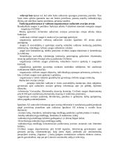 Veiksmai įvykus avarijai Ignalinos atominei elektrinei 2 puslapis