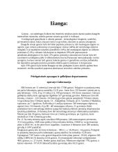 Gaisrai ir jų gesinimas 2 puslapis